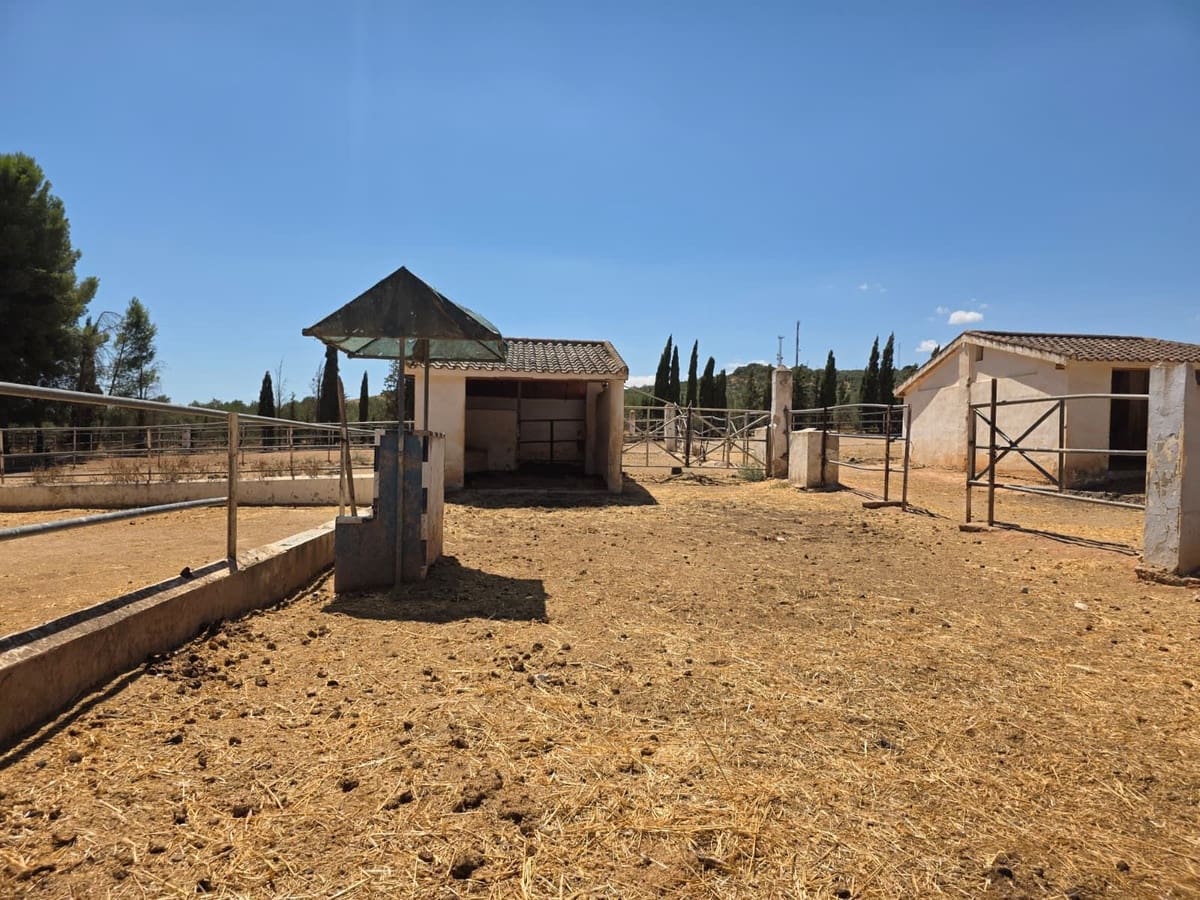 8 quarto Comercial para venda em Antequera com piscina garagem - 795 000 € (Ref: 10045849)