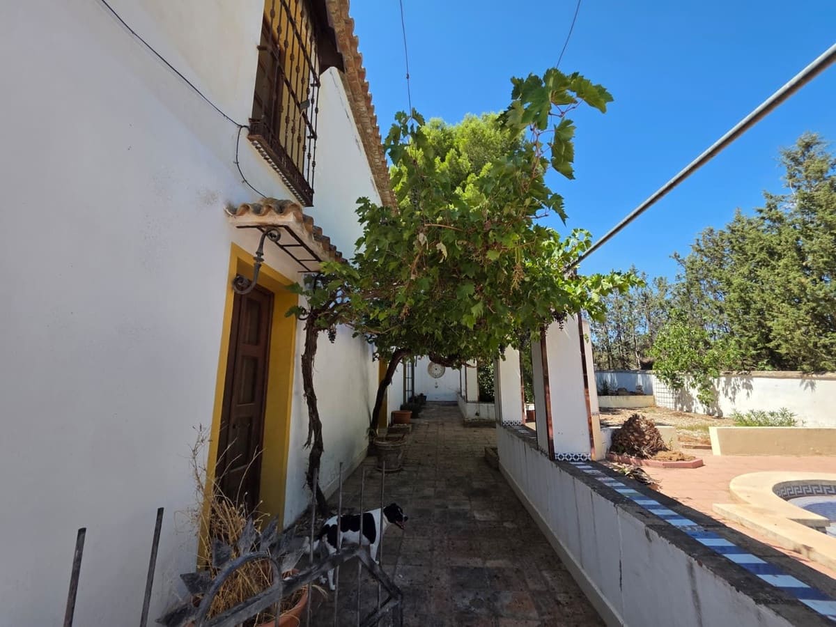 8 quarto Comercial para venda em Antequera com piscina garagem - 795 000 € (Ref: 10045849)
