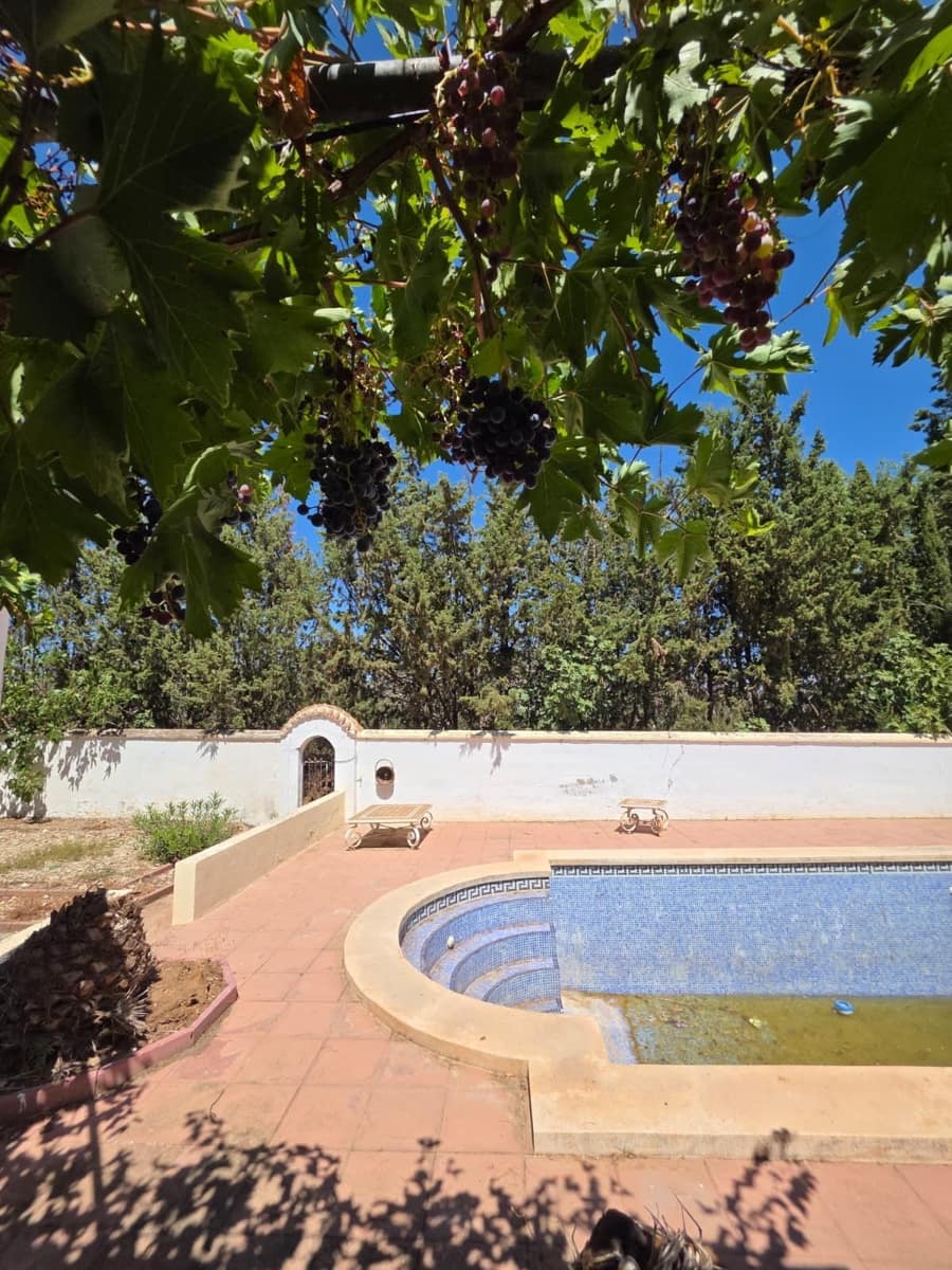 8 quarto Comercial para venda em Antequera com piscina garagem - 795 000 € (Ref: 10045849)