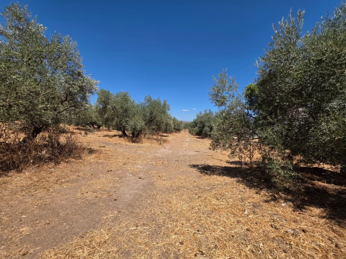 8 quarto Comercial para venda em Antequera com piscina garagem - 795 000 € (Ref: 10045849)
