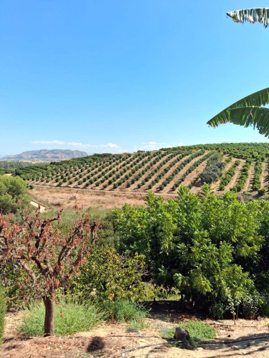 2 Zimmer Finca/Landgut zu verkaufen in Coin mit Garage - 255.000 € (Ref: 10045851)