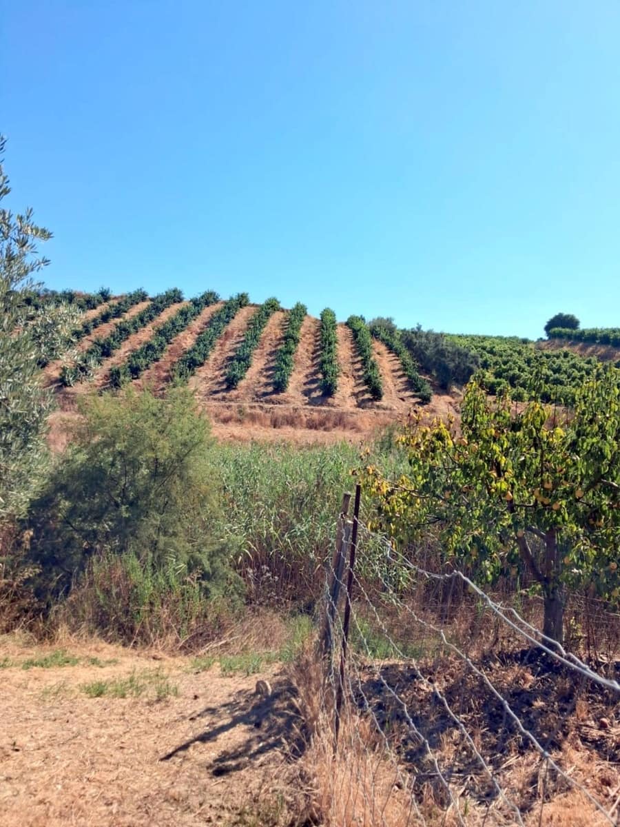 2 Zimmer Finca/Landgut zu verkaufen in Coin mit Garage - 255.000 € (Ref: 10045851)