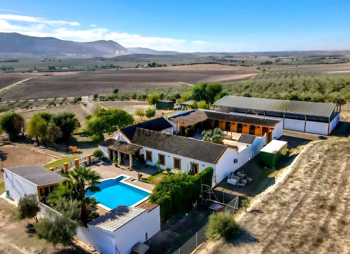 Finca/Casa Rural de 4 habitaciones en Morón de la Frontera en venta con piscina - 699.000 € (Ref: 10048199)