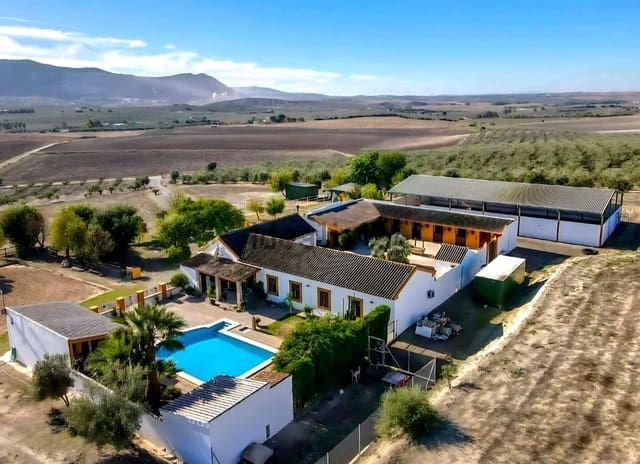 4 sovrum Kommersiell till salu i Morón de la Frontera med pool - 699 000 € (Ref: 10048201)