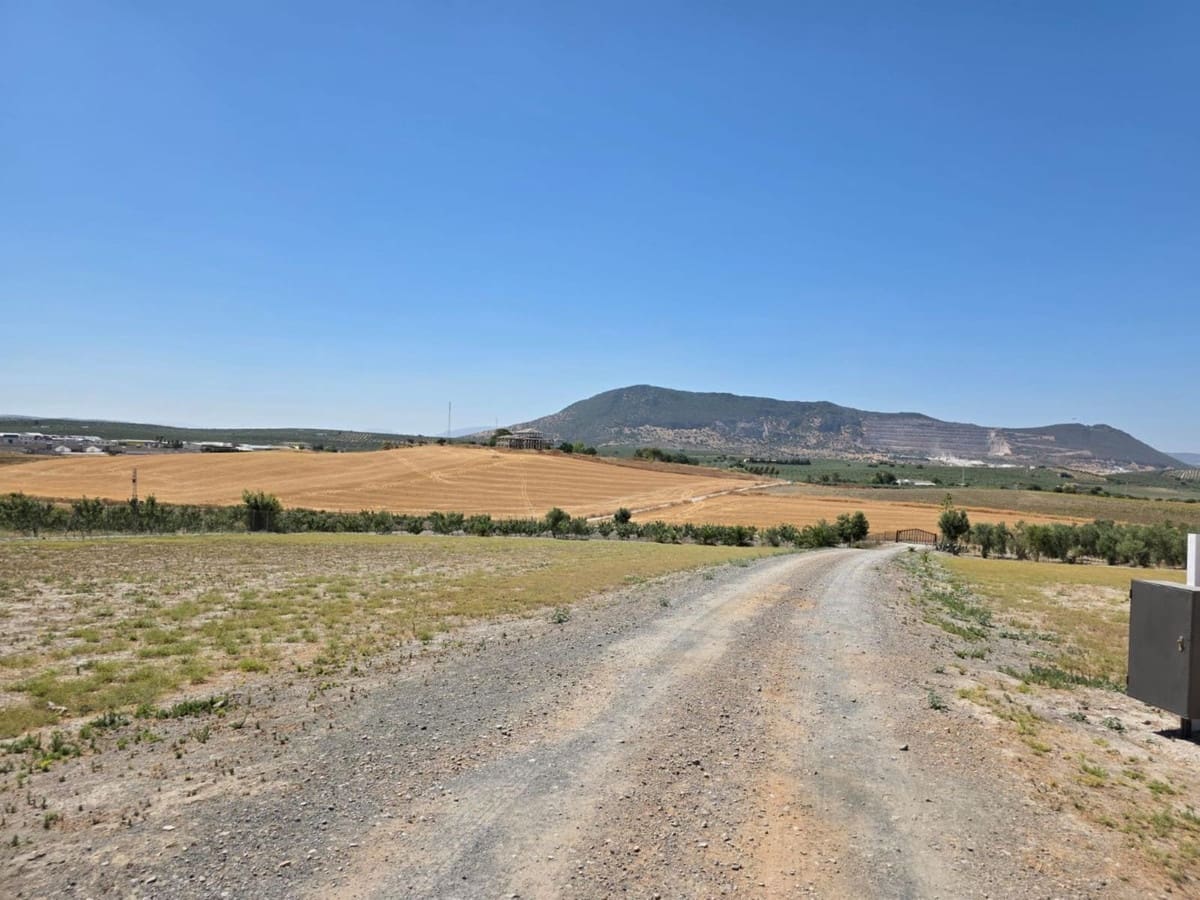 4 sovrum Kommersiell till salu i Moron de la Frontera med pool - 699 000 € (Ref: 10048201)