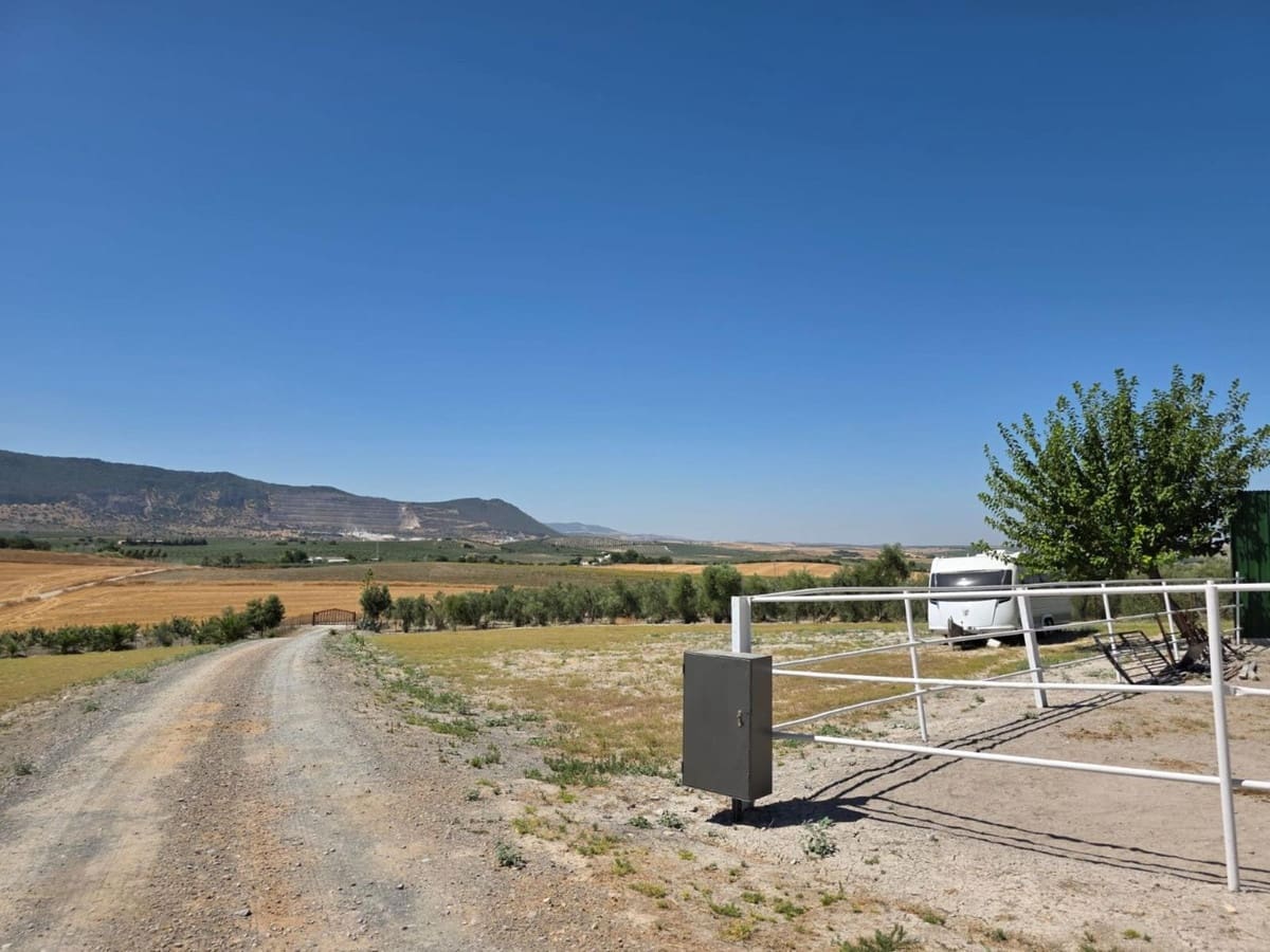 4 sovrum Kommersiell till salu i Moron de la Frontera med pool - 699 000 € (Ref: 10048201)