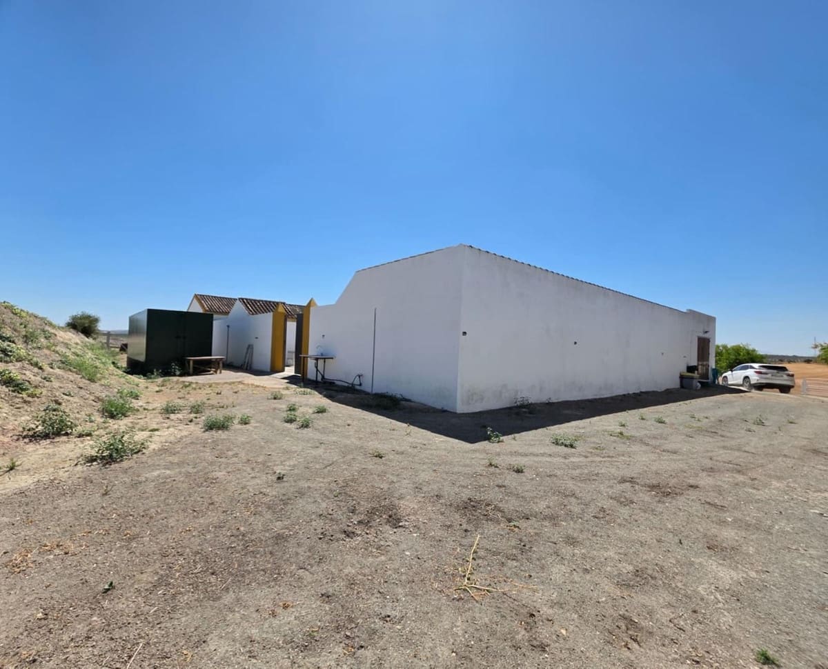 4 sovrum Kommersiell till salu i Moron de la Frontera med pool - 699 000 € (Ref: 10048201)