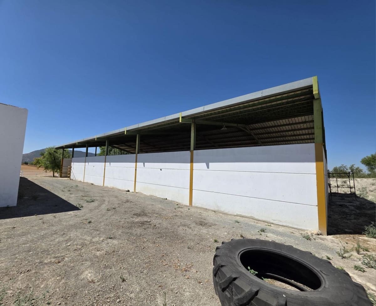 4 sovrum Kommersiell till salu i Moron de la Frontera med pool - 699 000 € (Ref: 10048201)