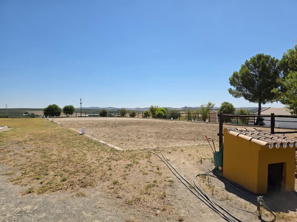 4 sovrum Kommersiell till salu i Moron de la Frontera med pool - 699 000 € (Ref: 10048201)