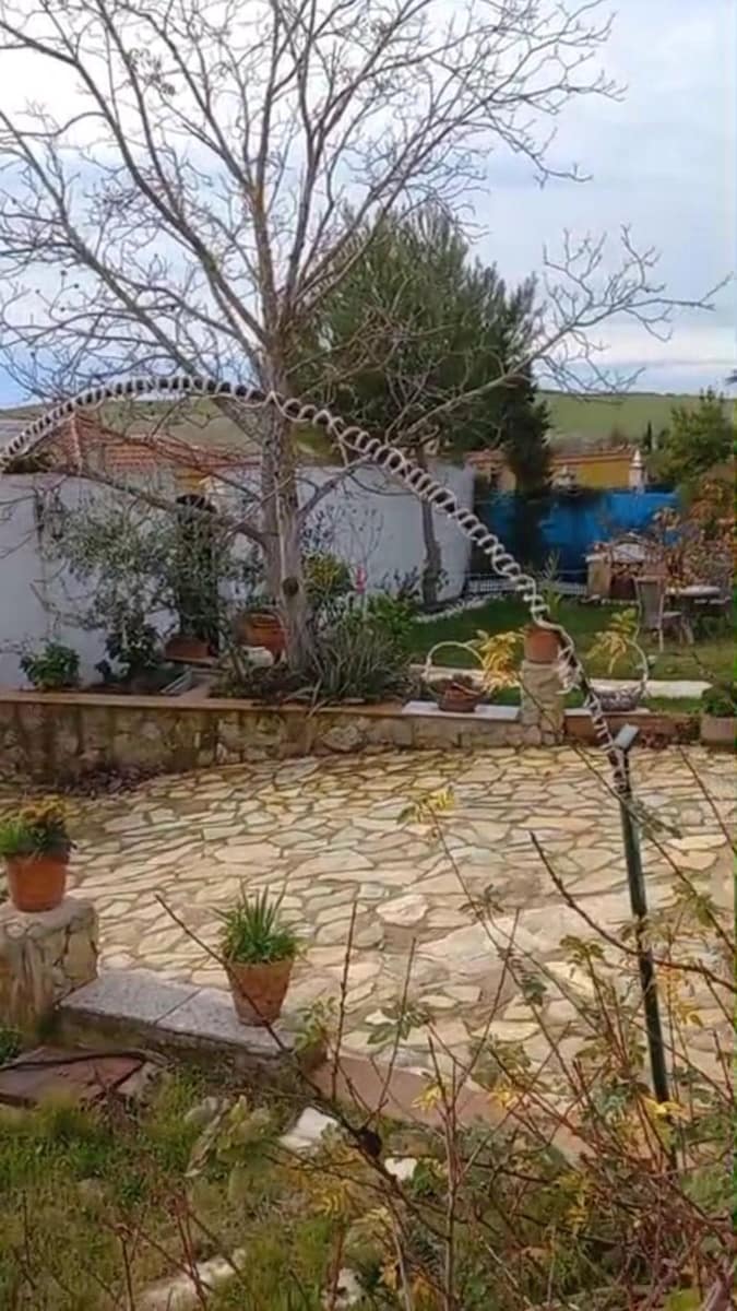 4 chambre Villa/Maison à vendre à Linares avec piscine garage - 135 000 € (Ref: 10136402)