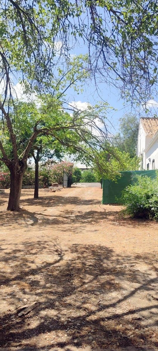 4 bedroom Finca/Country House for sale in Puente Genil with pool garage - € 339,000 (Ref: 10163508)