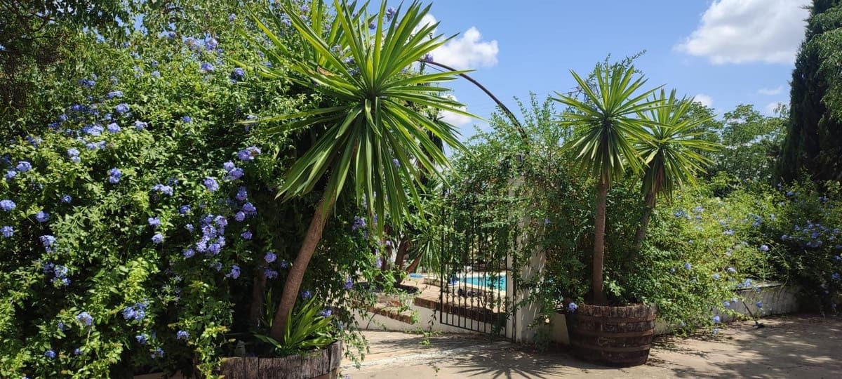 4 bedroom Finca/Country House for sale in Puente Genil with pool garage - € 339,000 (Ref: 10163508)