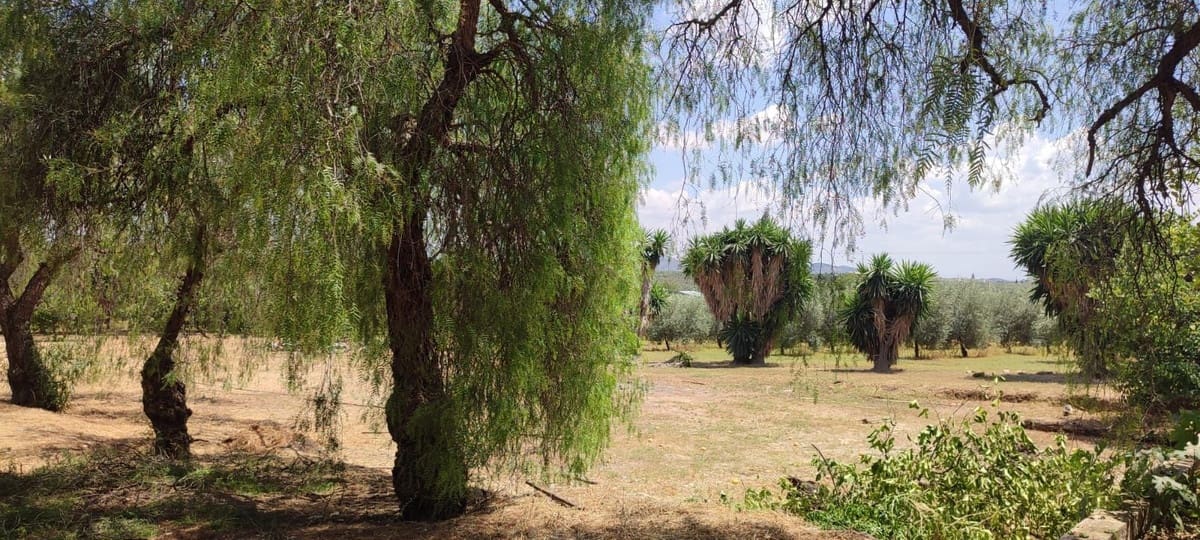 4 bedroom Finca/Country House for sale in Puente Genil with pool garage - € 339,000 (Ref: 10163508)