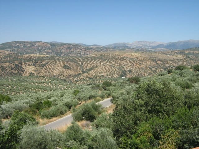 27 soveværelse Virksomhed til salg i Antequera med swimmingpool - € 1.250.000 (Ref: 6227911)