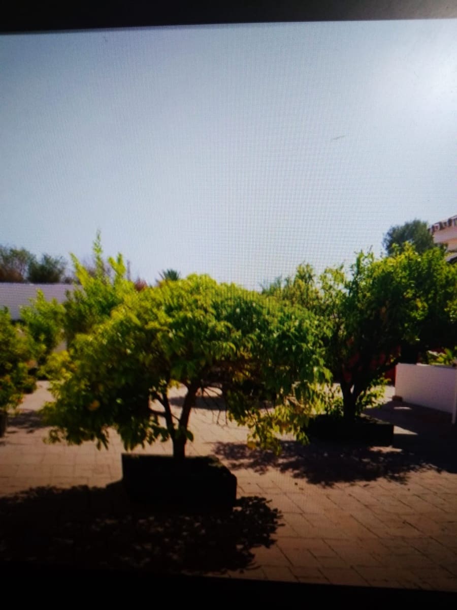 5 chambre Villa/Maison à vendre à Estepona avec piscine - 1 200 000 € (Ref: 6227969)