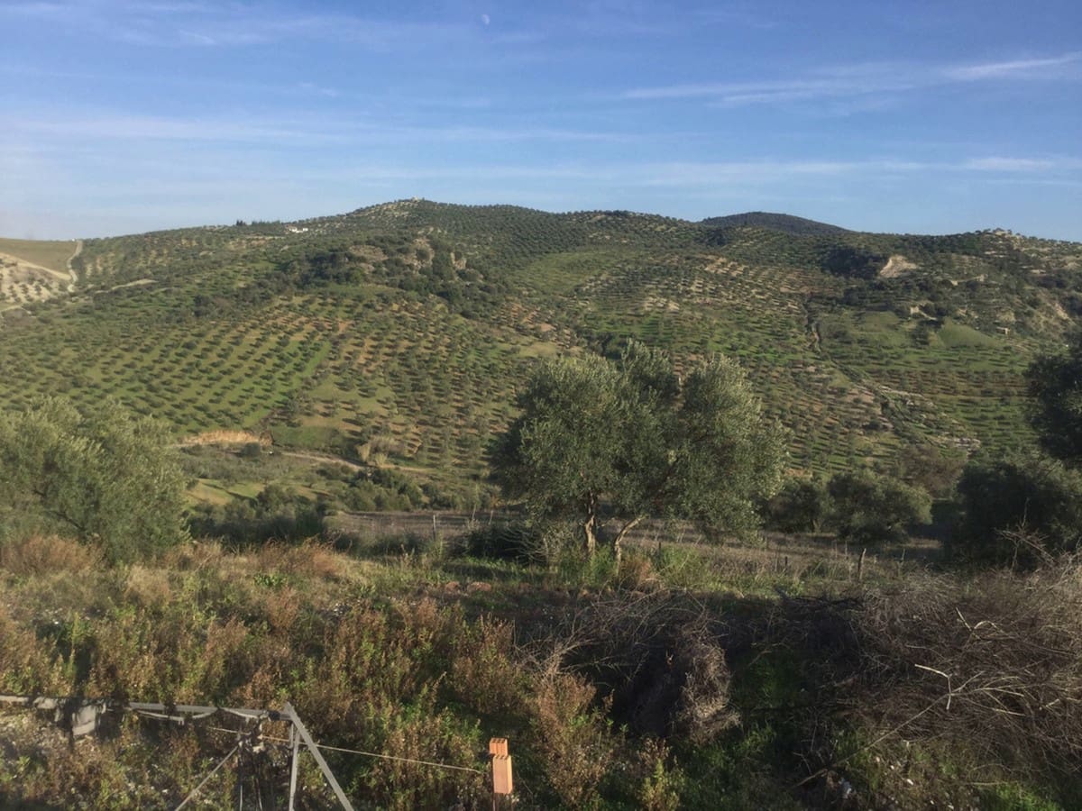 3 sypialnia Willa na sprzedaż w Tolox z garażem - 225 000 € (Ref: 6305670)