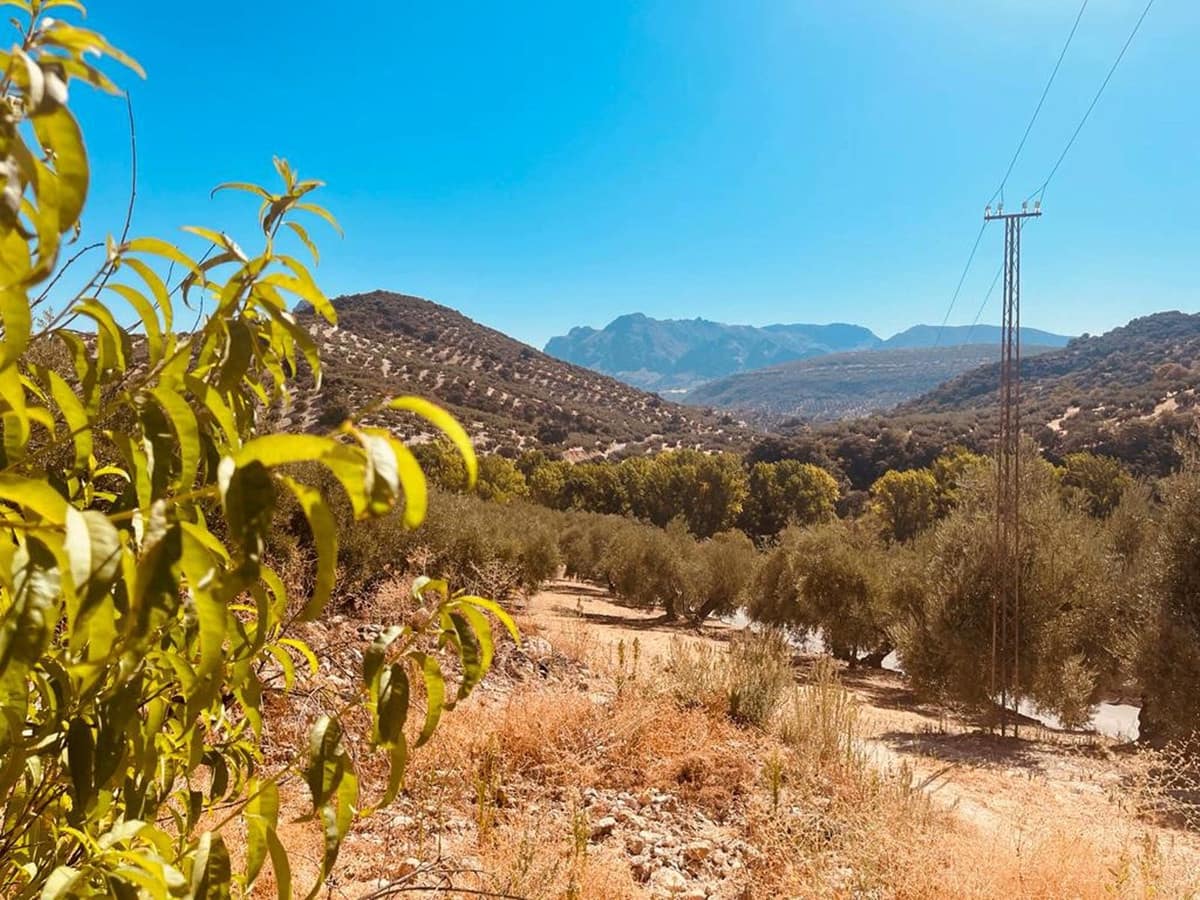 3 soveværelse Finca/Landehus til salg i Lucena med garage - € 101.500 (Ref: 7043305)