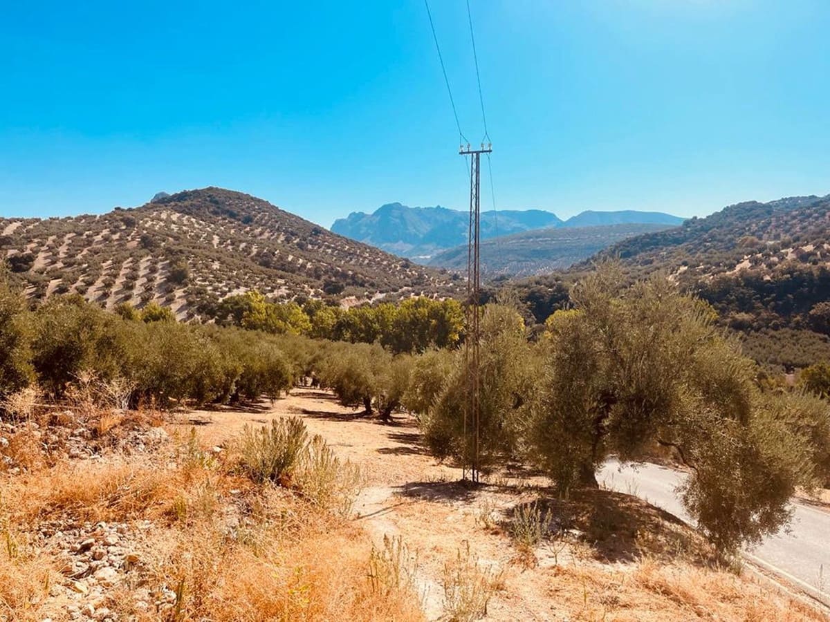 Finca/Casa Rural de 3 habitaciones en Lucena en venta con garaje - 101.500 € (Ref: 7043305)