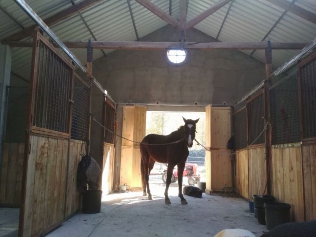 7 soverom Finca/Herregård til salgs i Guadix med svømmebasseng garasje - € 395 000 (Ref: 7467059)