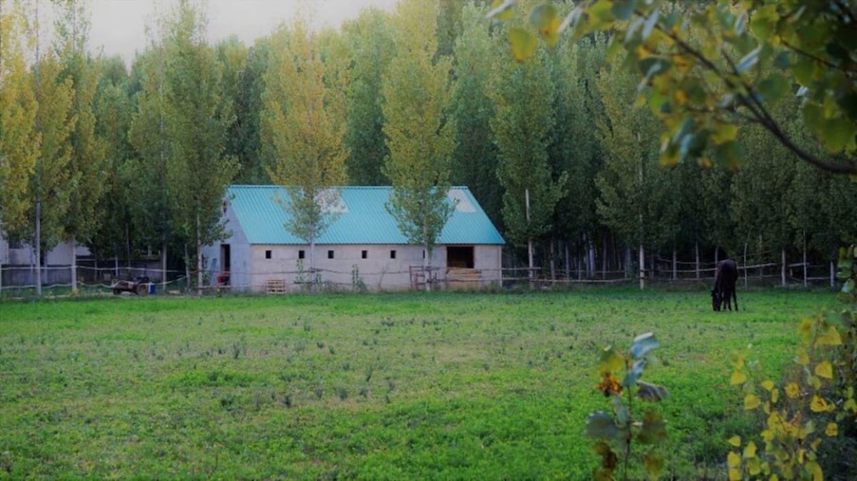 7 soverom Finca/Herregård til salgs i Guadix med svømmebasseng garasje - € 395 000 (Ref: 7467059)