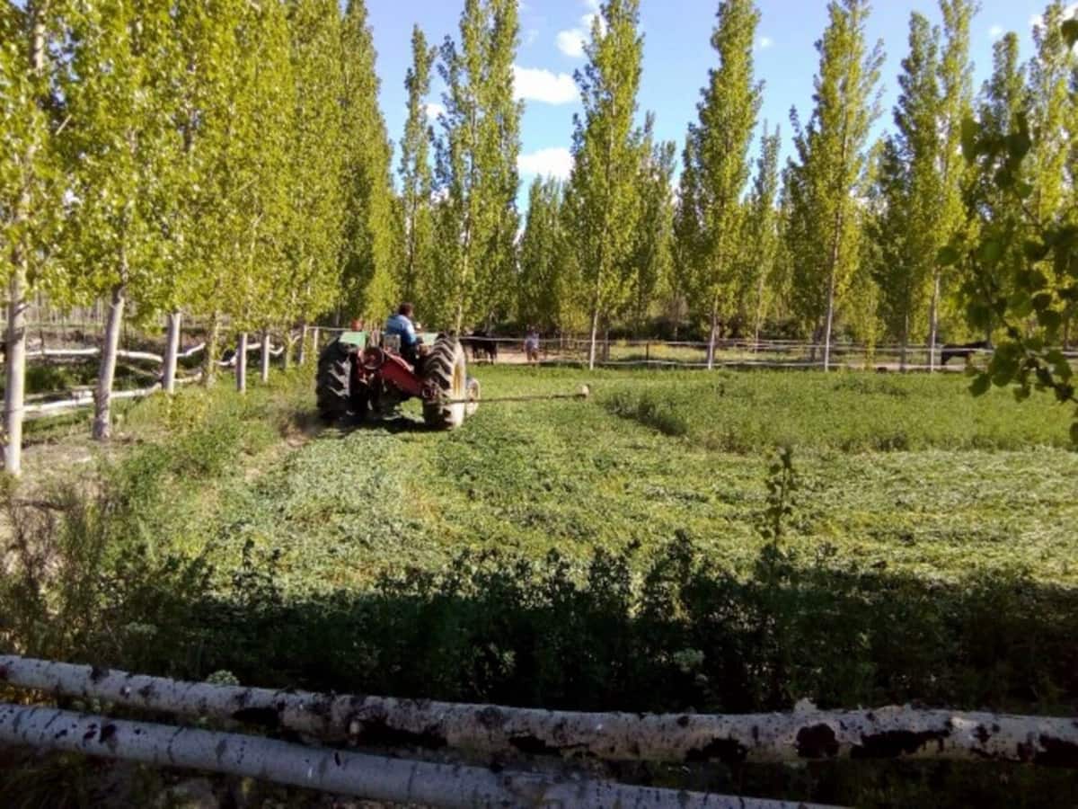 7 soverom Finca/Herregård til salgs i Guadix med svømmebasseng garasje - € 395 000 (Ref: 7467059)