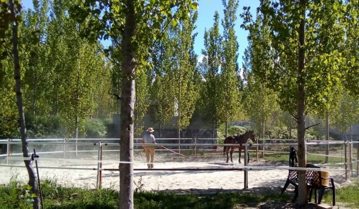 7 soverom Finca/Herregård til salgs i Guadix med svømmebasseng garasje - € 395 000 (Ref: 7467059)