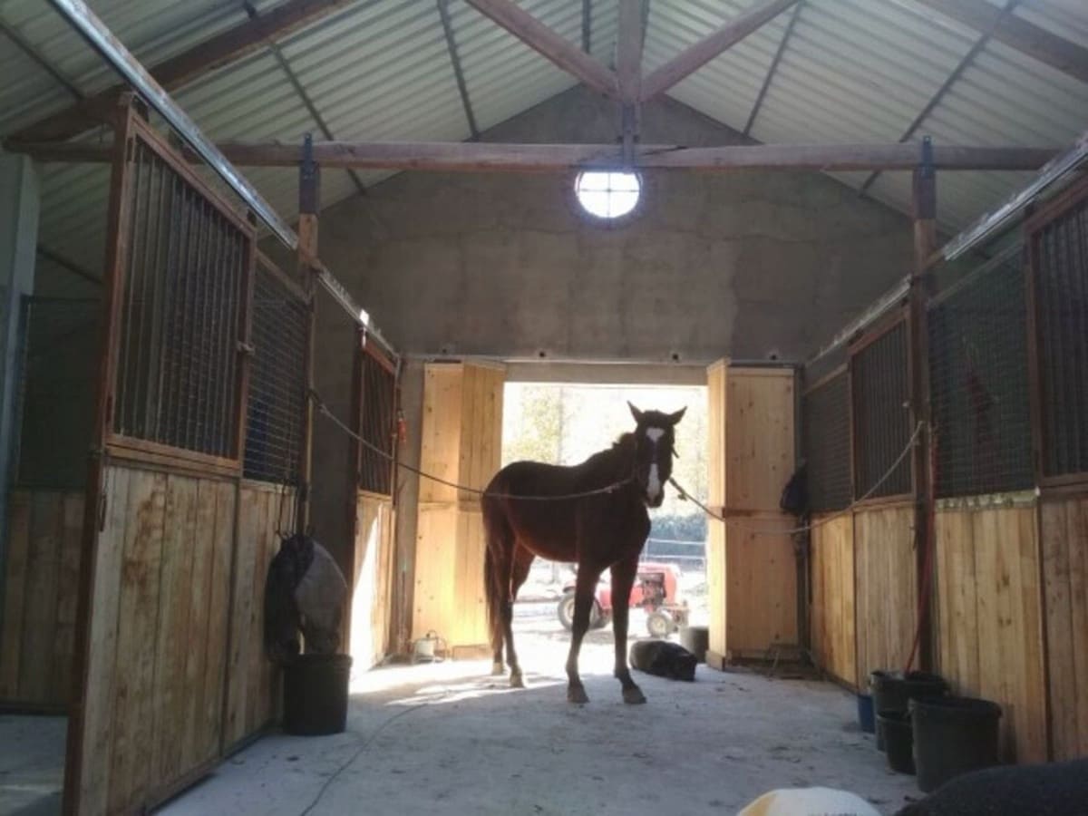 7 chambre Finca/Maison de Campagne à vendre à Guadix avec piscine garage - 349 000 € (Ref: 7467059)