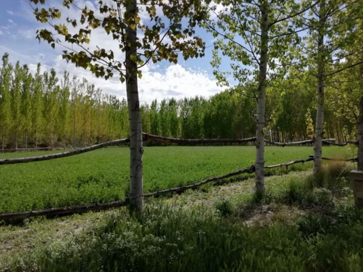 7 chambre Finca/Maison de Campagne à vendre à Guadix avec piscine garage - 349 000 € (Ref: 7467059)