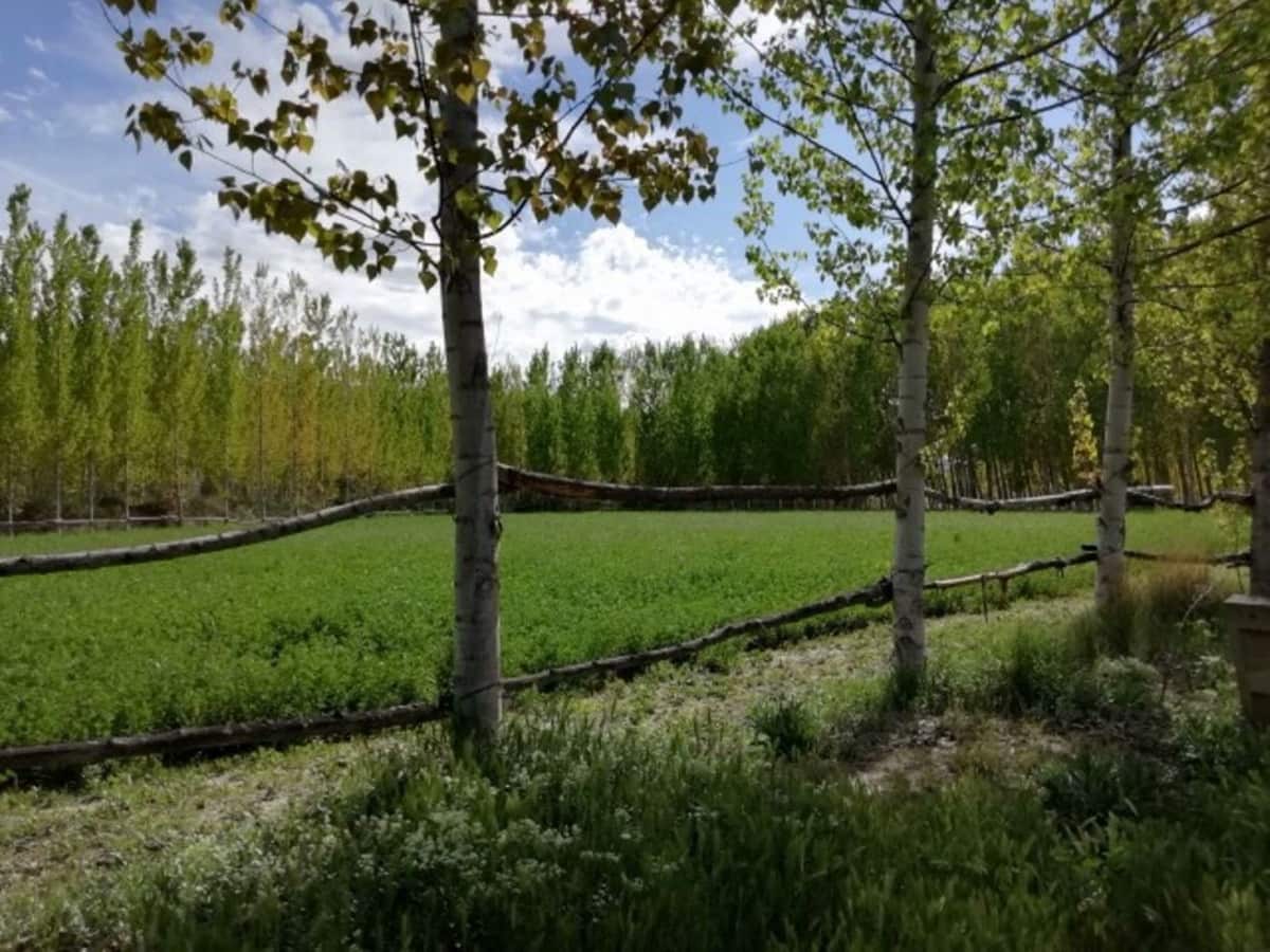 7 soveværelse Erhverv til salg i Guadix med swimmingpool garage - € 395.000 (Ref: 7467060)