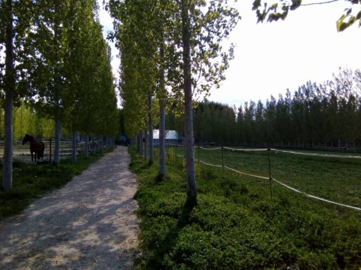 7 soveværelse Erhverv til salg i Guadix med swimmingpool garage - € 349.000 (Ref: 7467060)