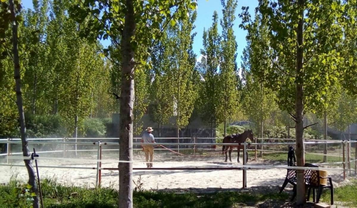 7 soveværelse Erhverv til salg i Guadix med swimmingpool garage - € 349.000 (Ref: 7467060)