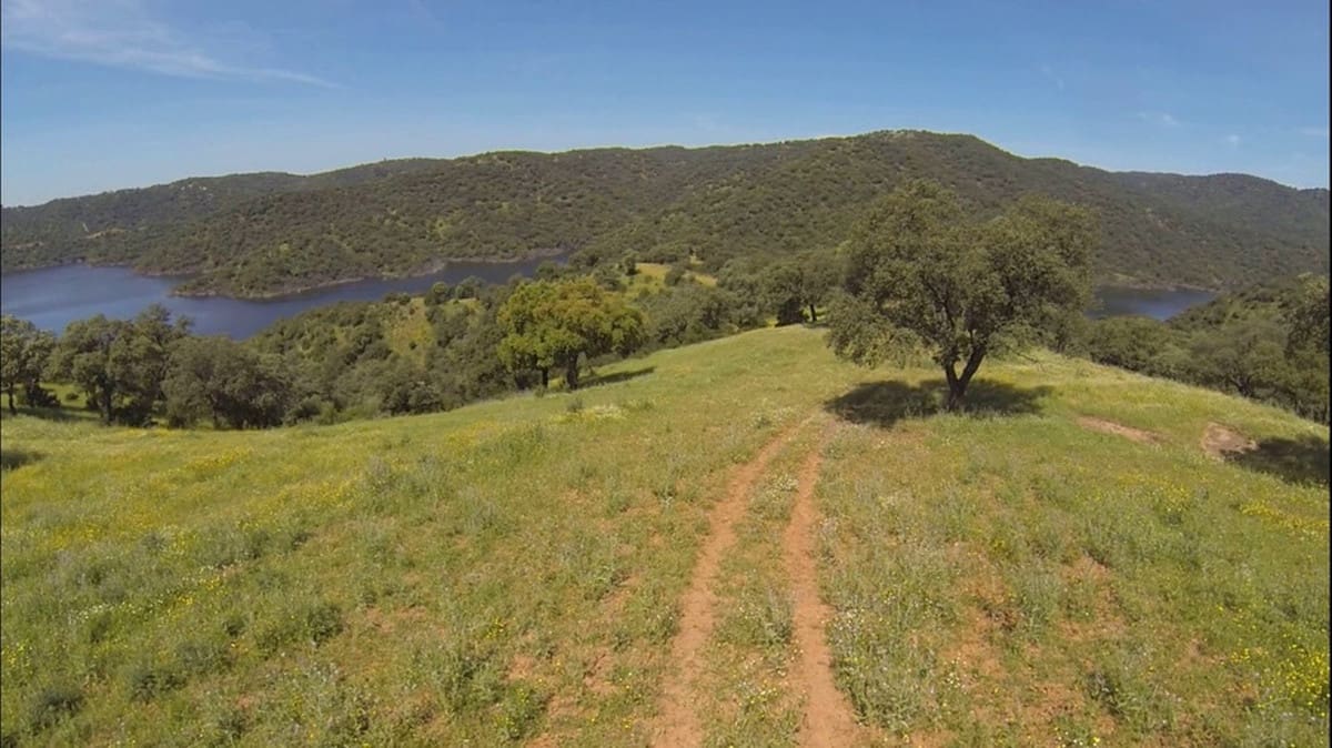 4 soveværelse Finca/Landehus til salg i La Carlota med garage - € 3.000.000 (Ref: 7467061)