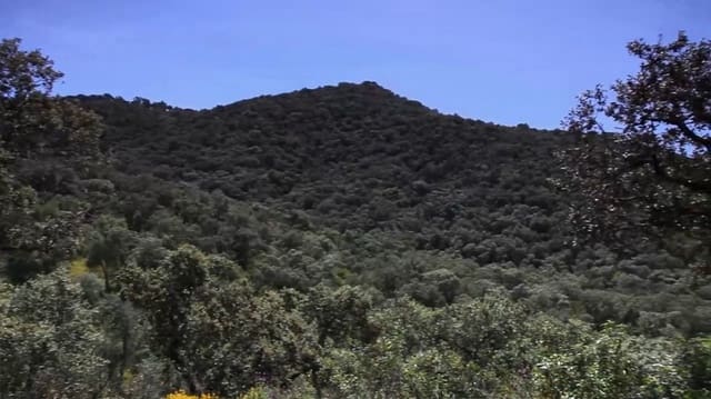 4 soveværelse Finca/Landehus til salg i La Carlota med garage - € 3.000.000 (Ref: 7467061)