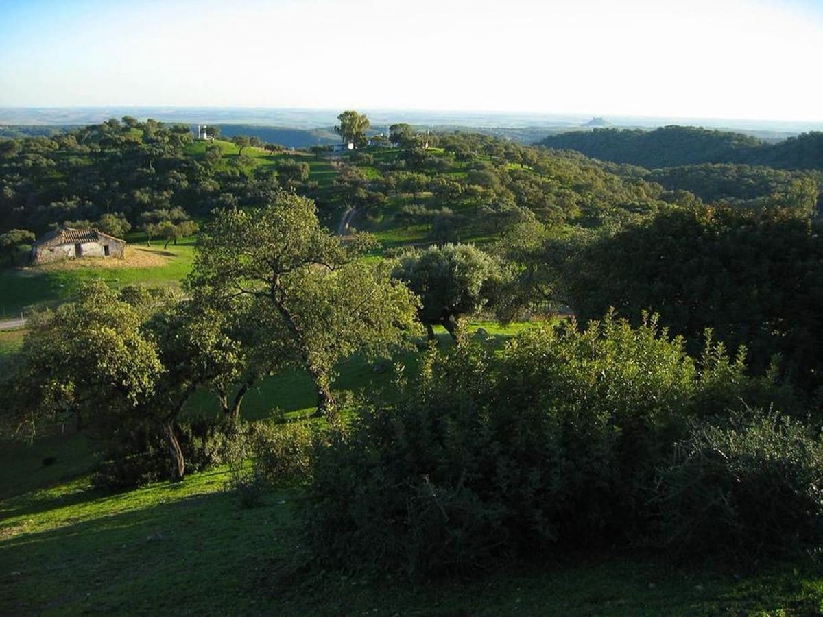 4 soveværelse Finca/Landehus til salg i La Carlota med garage - € 3.000.000 (Ref: 7467061)