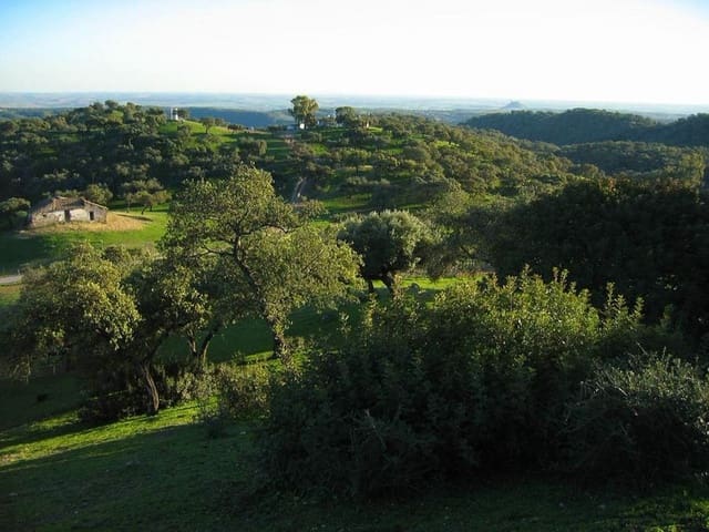 4 soveværelse Finca/Landehus til salg i La Carlota med garage - € 3.000.000 (Ref: 7467061)