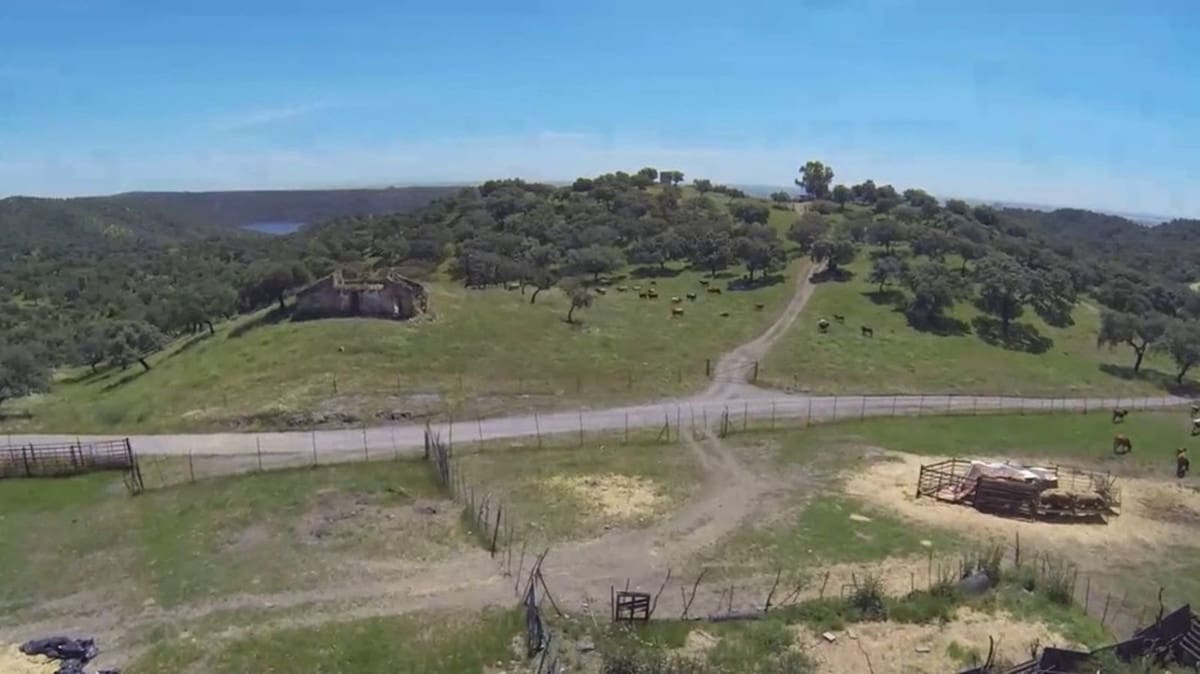 4 soveværelse Finca/Landehus til salg i La Carlota med garage - € 3.000.000 (Ref: 7467061)