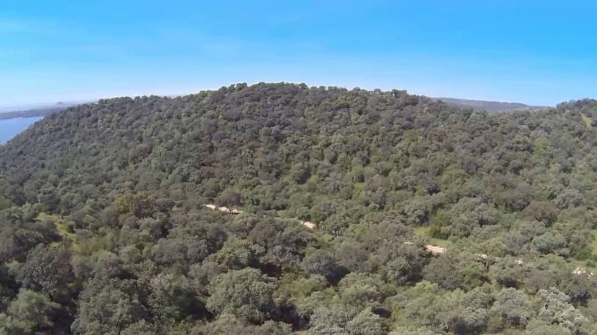 4 soveværelse Finca/Landehus til salg i La Carlota med garage - € 3.000.000 (Ref: 7467061)