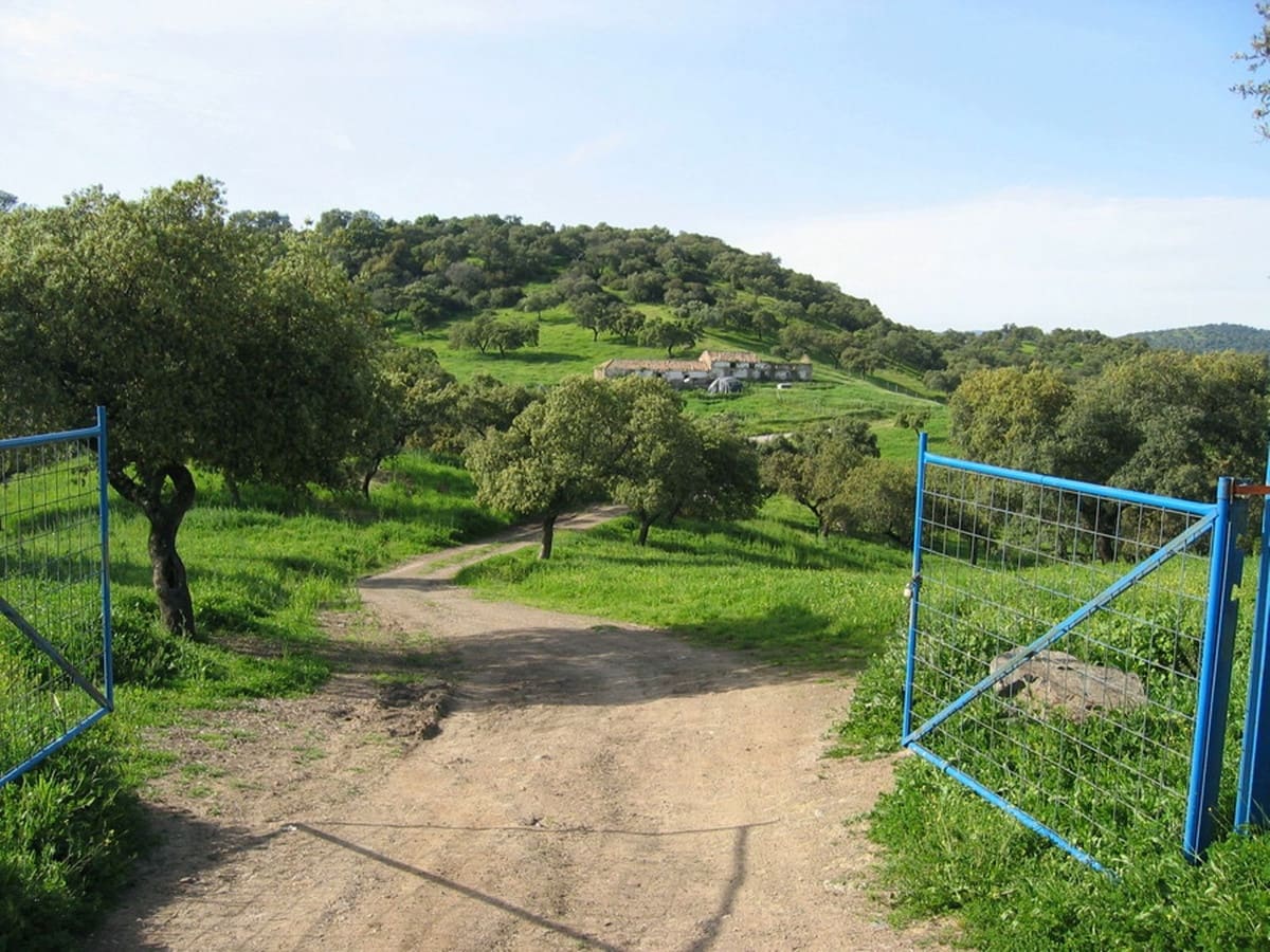 4 soveværelse Finca/Landehus til salg i La Carlota med garage - € 3.000.000 (Ref: 7467061)