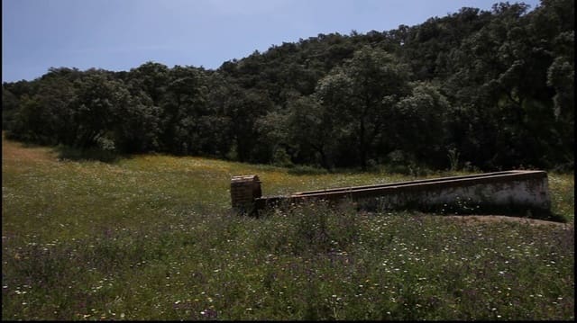 4 quarto Quinta/Casa Rural para venda em La Carlota com garagem - 3 000 000 € (Ref: 7467061)