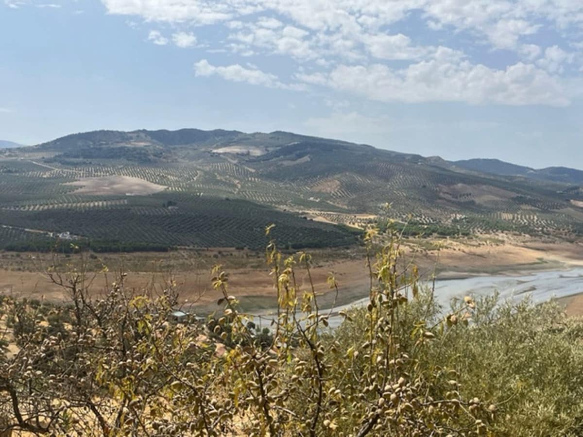 6 camera da letto Hotel in vendita in Iznajar con piscina garage - 399.000 € (Rif: 7687636)