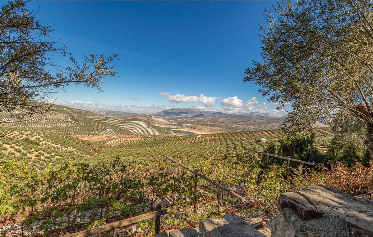 5 soveværelse Hotel til salg i Iznajar med swimmingpool garage - € 560.000 (Ref: 7692376)