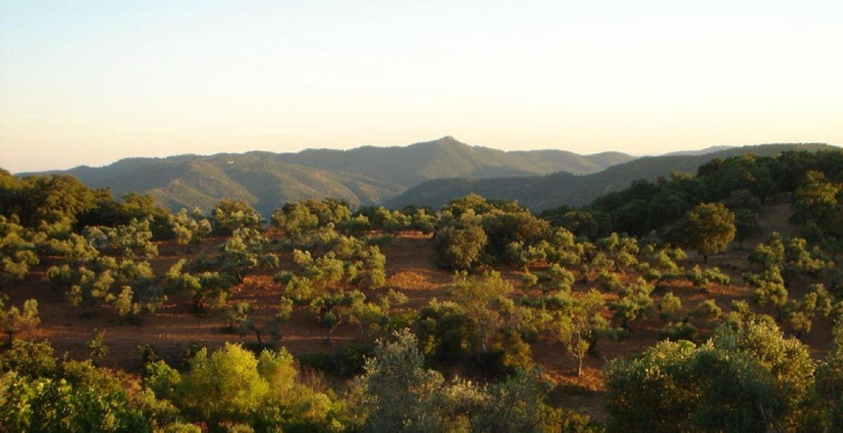 7 bedroom Finca/Country House for sale in Espiel with garage - € 890,000 (Ref: 8062022)