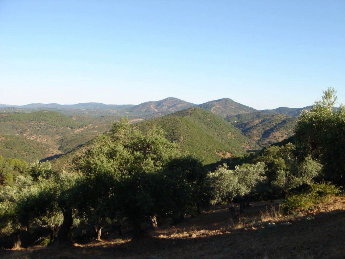 7 bedroom Finca/Country House for sale in Espiel with garage - € 890,000 (Ref: 8062022)