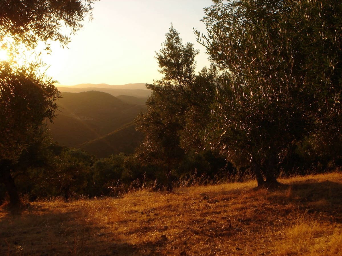 7 bedroom Finca/Country House for sale in Espiel with garage - € 890,000 (Ref: 8062022)