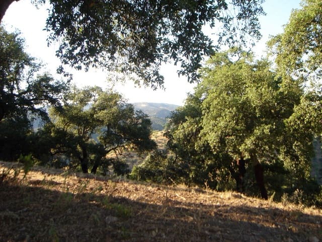 7 bedroom Finca/Country House for sale in Espiel with garage - € 890,000 (Ref: 8062022)