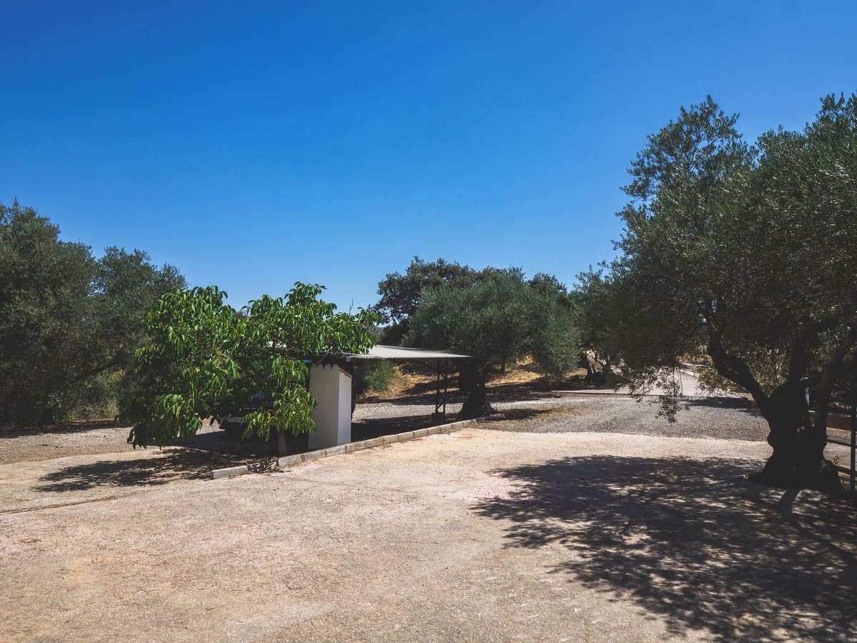 5 quarto Comercial para venda em Alora com piscina garagem - 1 200 000 € (Ref: 8067075)