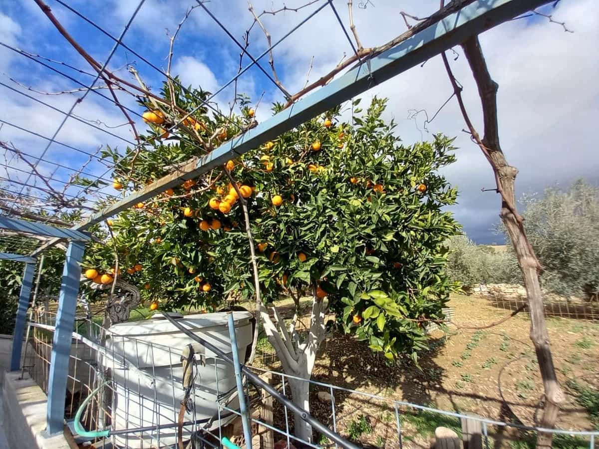 7 chambre Finca/Maison de Campagne à vendre à Villanueva de la Concepcion avec garage - 650 000 € (Ref: 8083081)