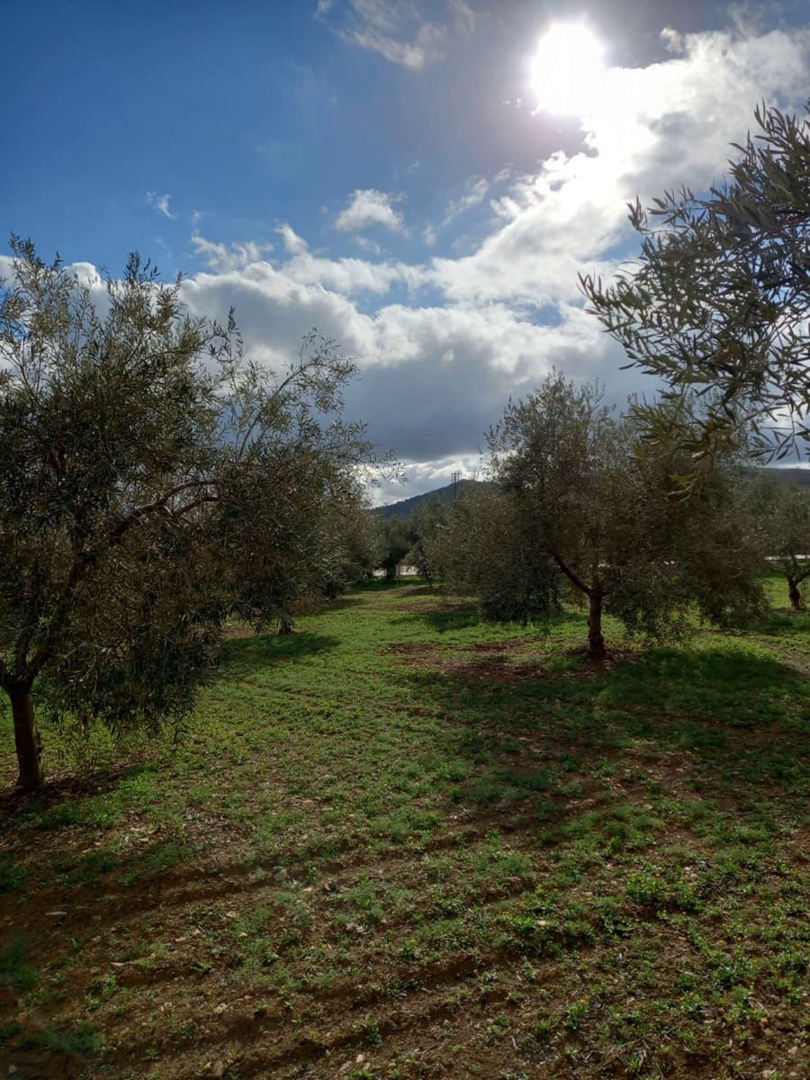 7 chambre Finca/Maison de Campagne à vendre à Villanueva de la Concepcion avec garage - 650 000 € (Ref: 8083081)