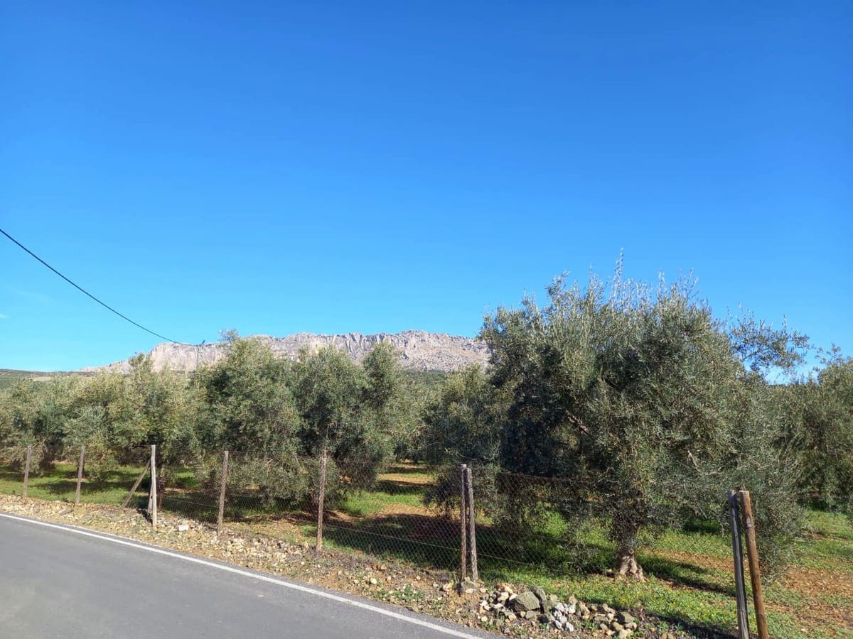 7 bedroom Finca/Country House for sale in Villanueva de la Concepcion with garage - € 650,000 (Ref: 8083081)