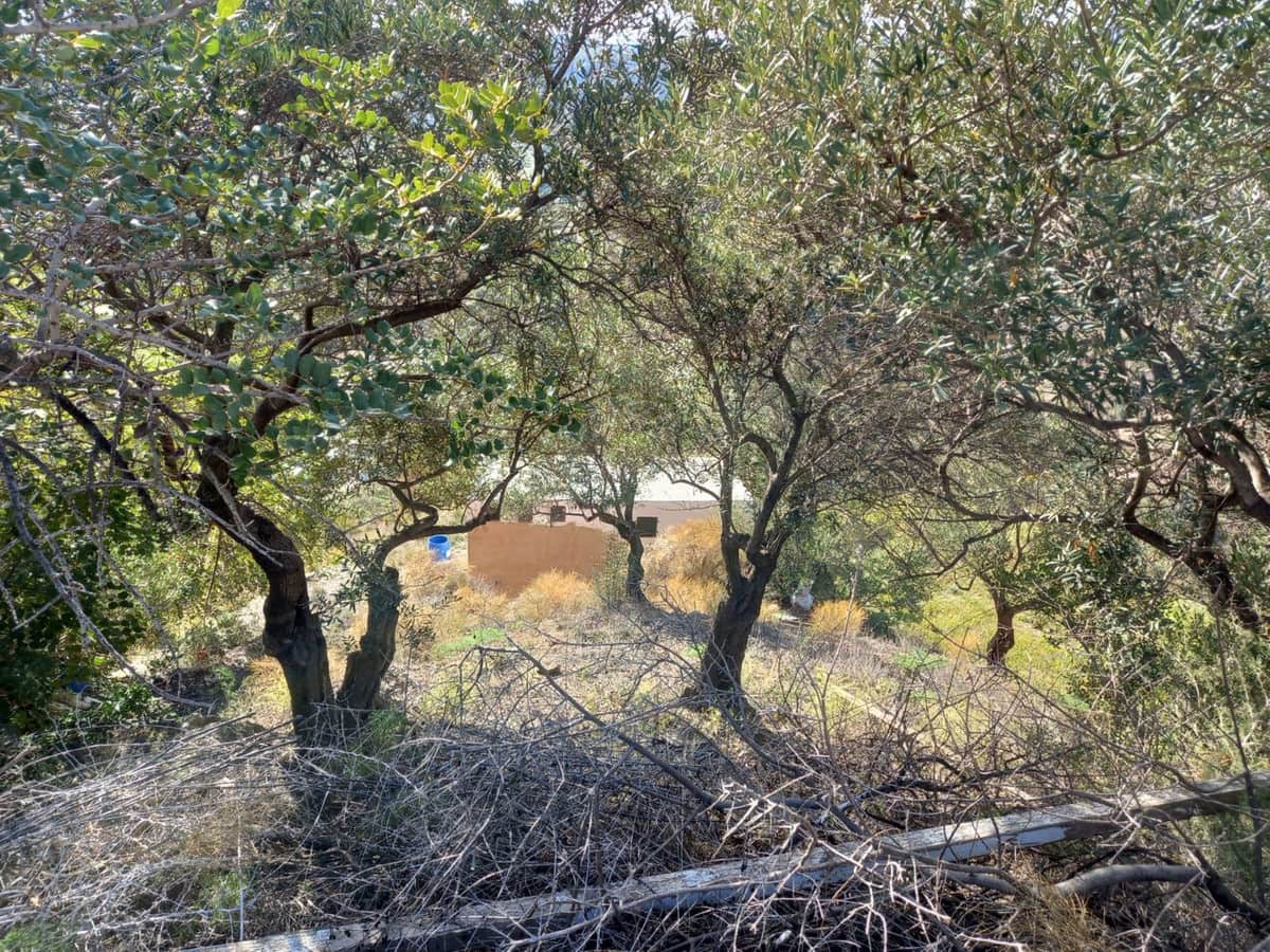 Kommersiell til salgs i Puerto de la Torre med garasje - € 48 000 (Ref: 8479706)